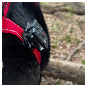 Fixation harnais pour chien (K9)